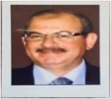 Eng. Mahmoud Mohamed Nafee