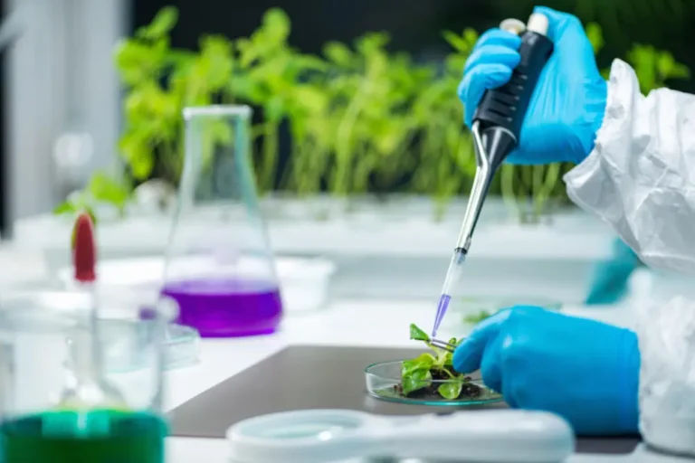 Environmental Laboratory