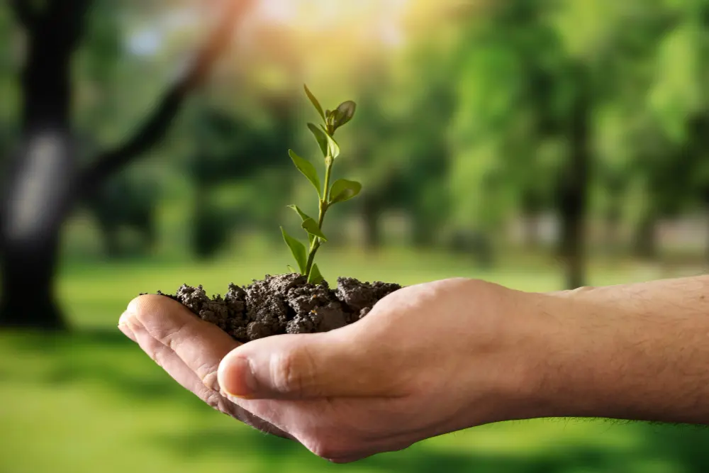 Environmental Responsibility