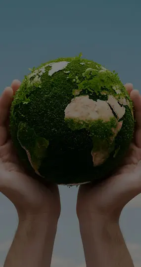 Environmental Sustainability