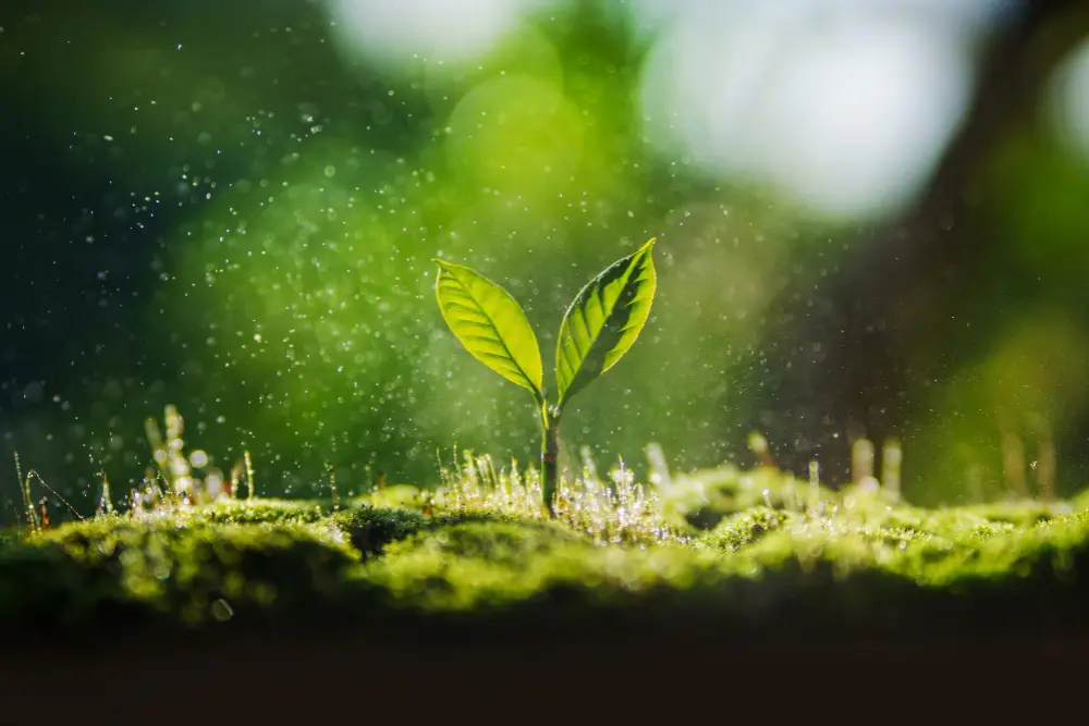 Environmental Challenge