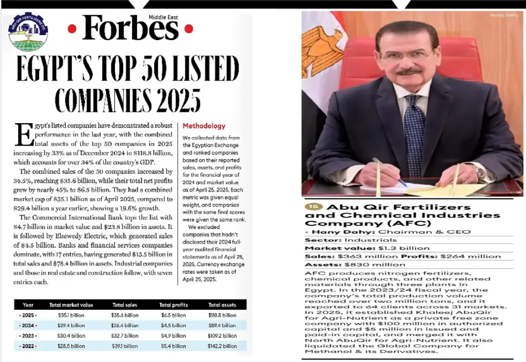 50 Strongest Public Companies in Egypt for 2025