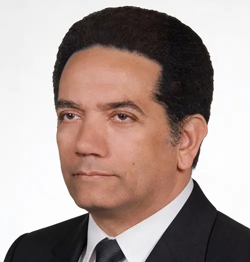 المهندس أسامة السيد الجنايني